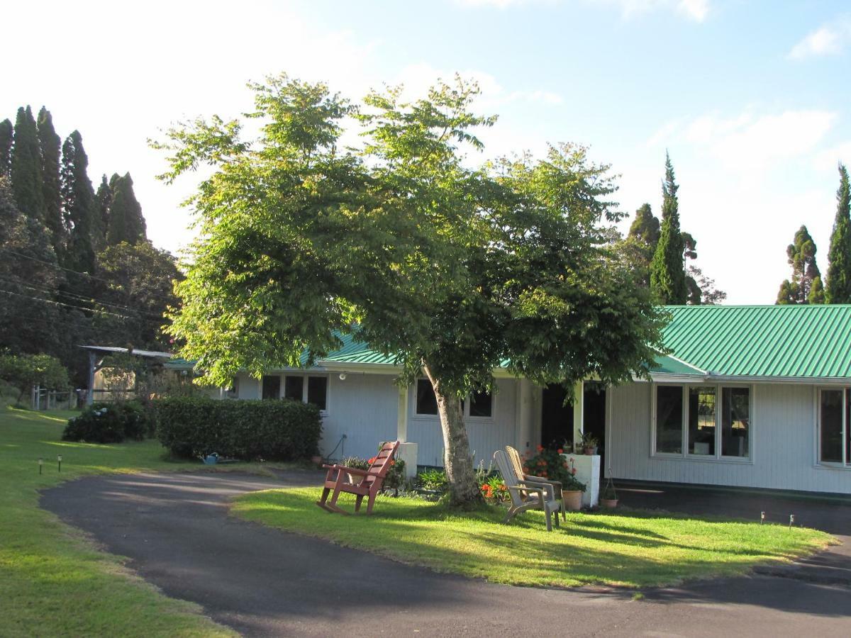 At The End Of The Road Bed And Breakfast 沃尔卡诺 外观 照片